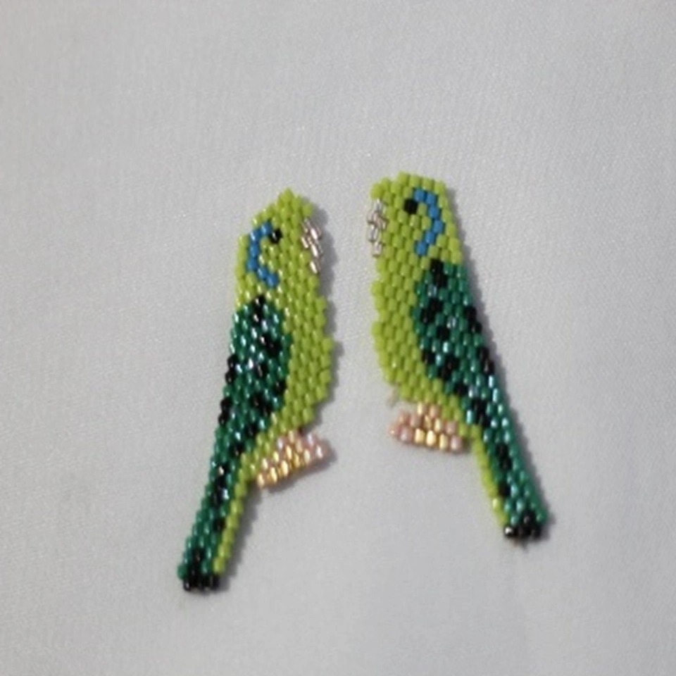 Aretas loro anteojos peyote en miyuki